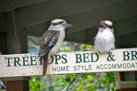 Treetops Bed & Breakfast Blackburn Екстер'єр фото